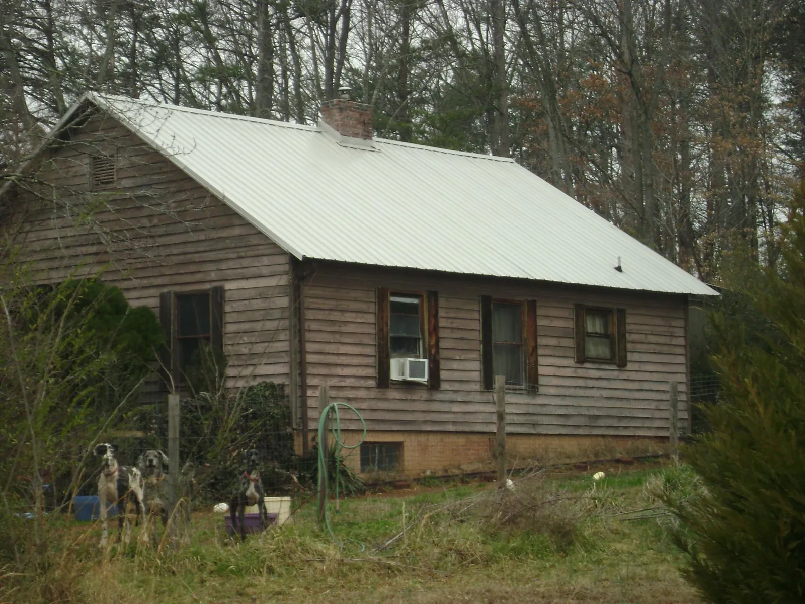 White metal roof on an old wood sided farmhouse, from a Asphalt Shingle Roof Repair job in Cabins